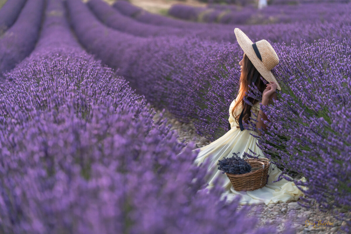 lady in blue lavender during sunset Valensole Eny Therese photography