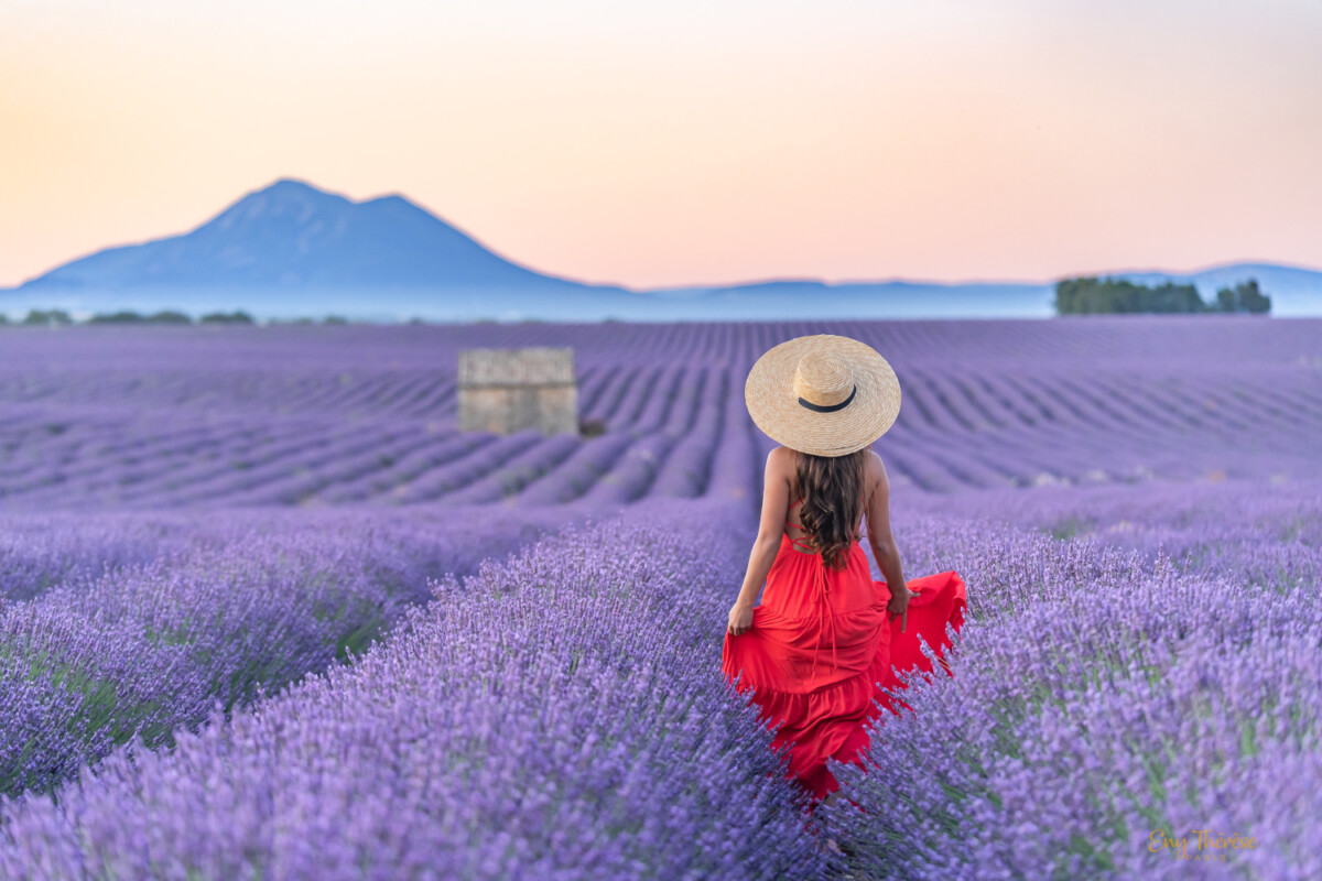 lady in red in blue lavender during sunrise Valensole Eny Therese photography