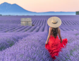 Lavender lover by Eny Therese Photography