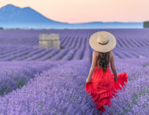 Lavender lover by Eny Therese Photography