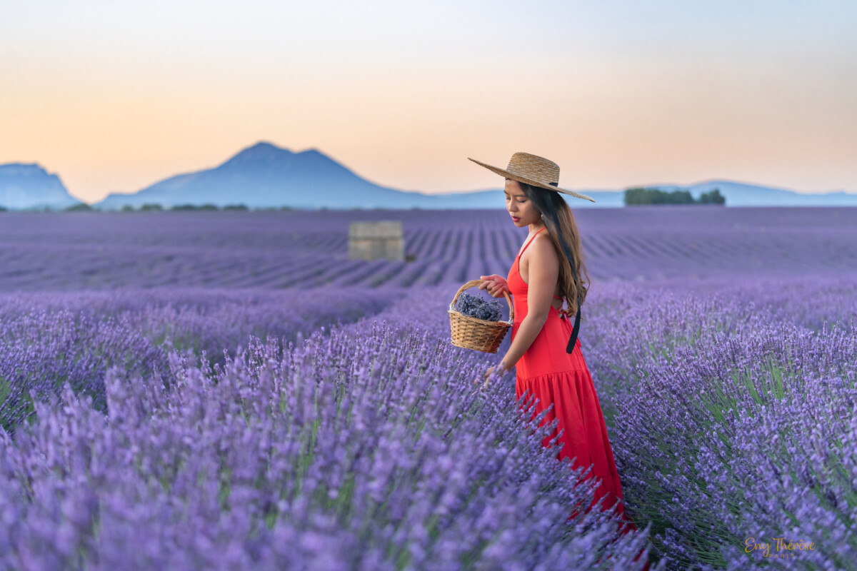 lady in red in blue lavender during sunrise Valensole Eny Therese photography