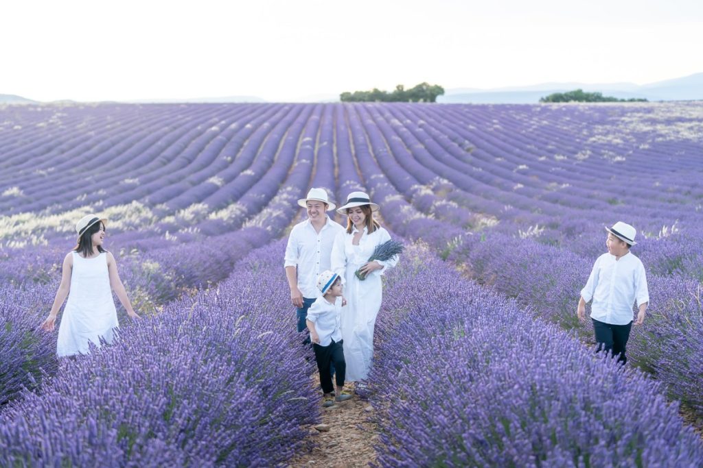 Family photoshoot Lavender blooming at Valensole Eny Therese