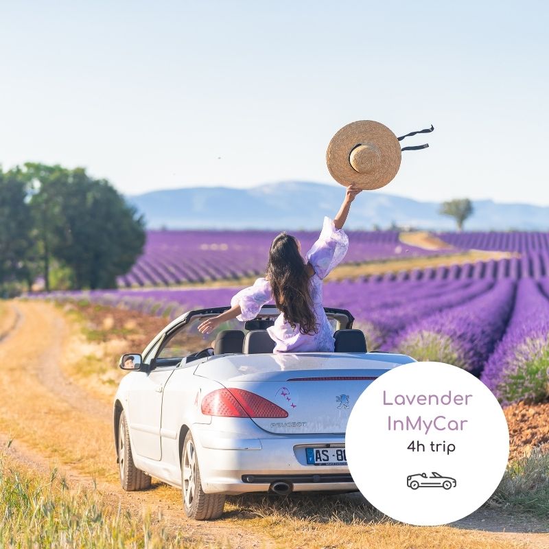 Lavender InMyCar 4h Trip