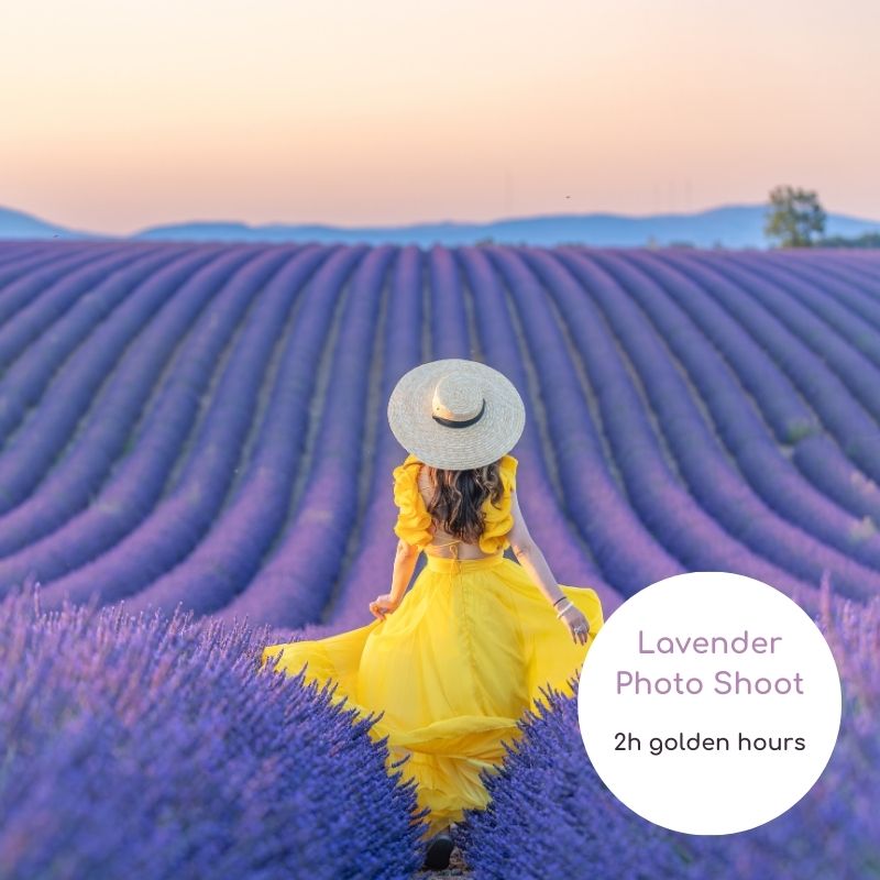 Lavender Photoshoot 2h Golden Hour