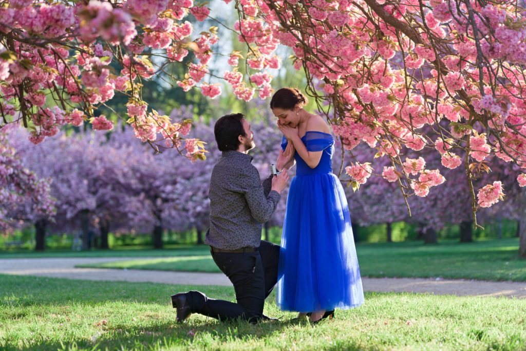 Surprise proposal under cherry blossom