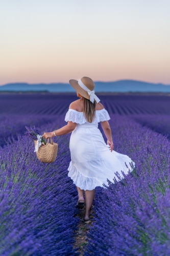 Sunrise at lavender field Valensole by Eny Therese