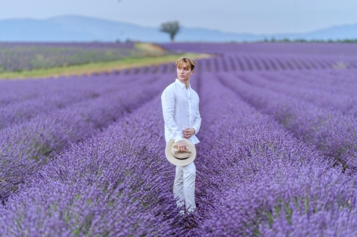 Lavender blooming at Valensole by Eny Therese