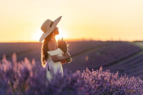 Beautiful girl in Golden hour at lavender field