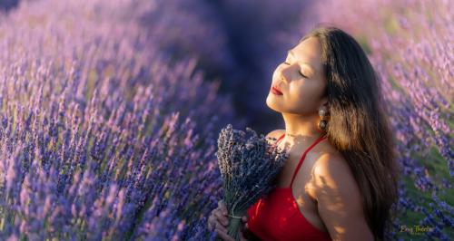 sweet scent that perfumes the air in lavender fields