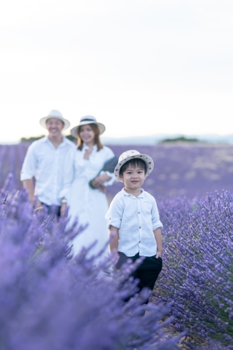 Family photoshoot Lavender blooming at Valensole Eny Therese