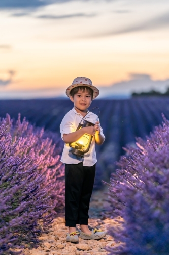 Sunset at lavender field Valensole by Eny Therese