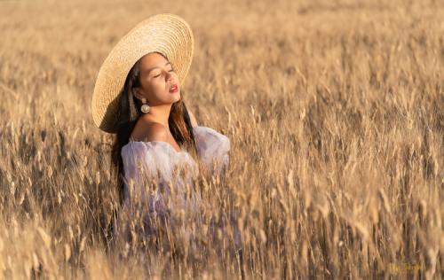 girl with strawhat at wheat field valensole