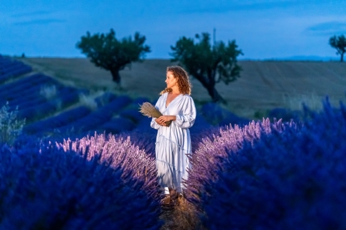 Sunset at lavender field Valensole by Eny Therese