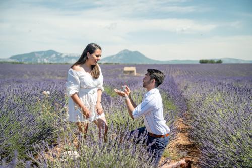 Surprise proposal at Valensole lavender field