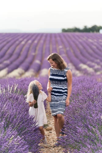 Family photoshoot Lavender blooming at Valensole Eny Therese