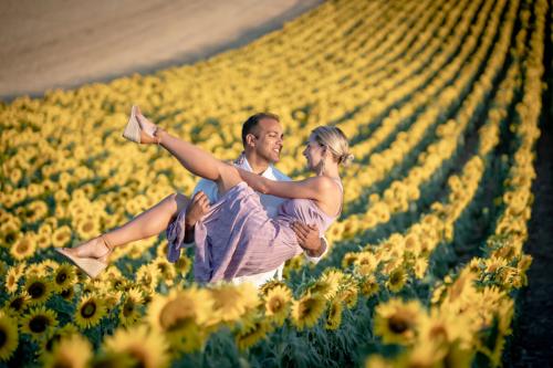 Romantic couple at sunflower field Valensole