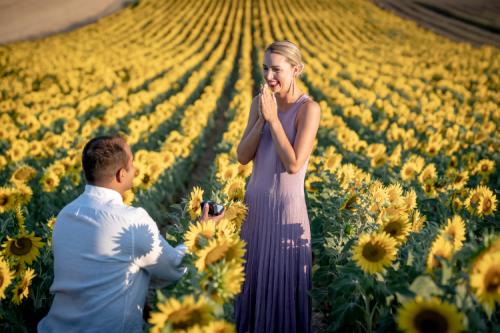 Surprise proposal at sun flower field