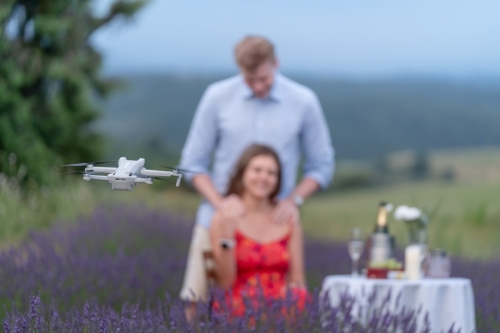Proposal at Lavender blooming Valensole Eny Therese
