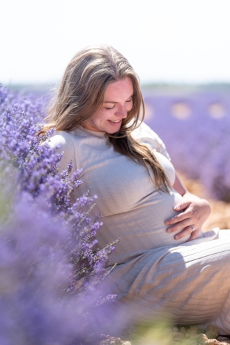 Babymoon Lavender field valensole Eny Therese