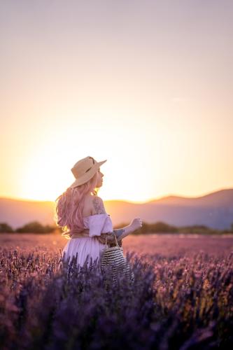 sunrise at lavender field