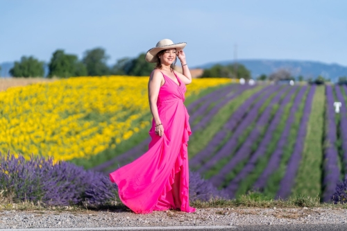 Lavender and sunflowers blooming at Valensole Eny Therese