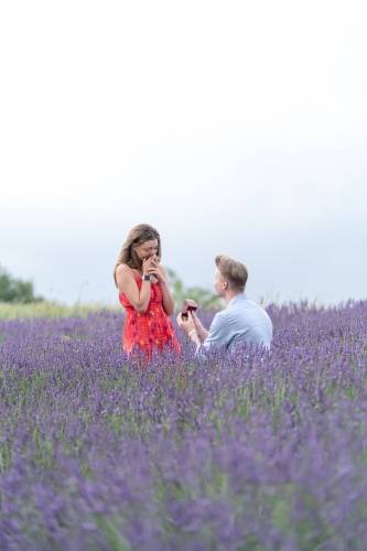 Surprise proposal in Valensole Lavender 19